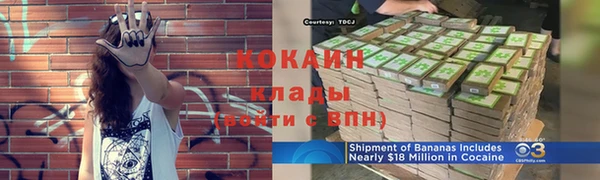 винт Арсеньев