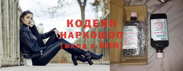 хмурый Аркадак