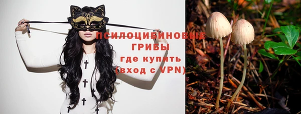 прущий лед Армянск