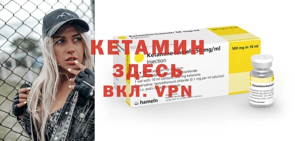 хмурый Аркадак