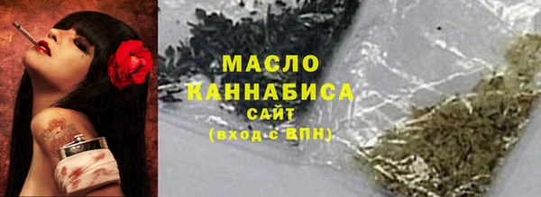 хмурый Аркадак