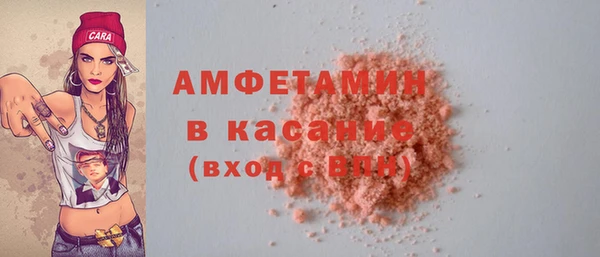 хмурый Аркадак