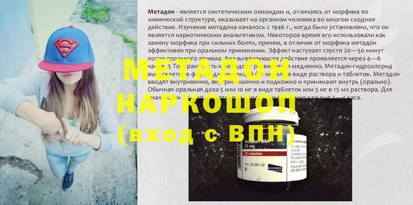 хмурый Аркадак