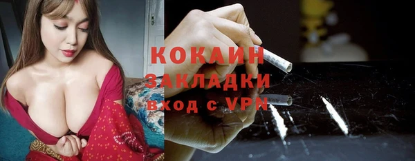 хмурый Аркадак