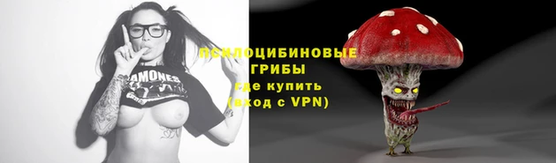 прущий лед Армянск